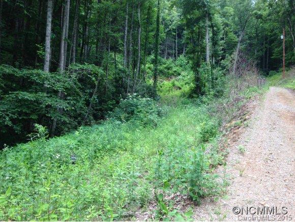 2 Laurel Br Road, Unit 2 Canton, NC 28716 - Photo 10 of 24 a view of a forest with trees in the background