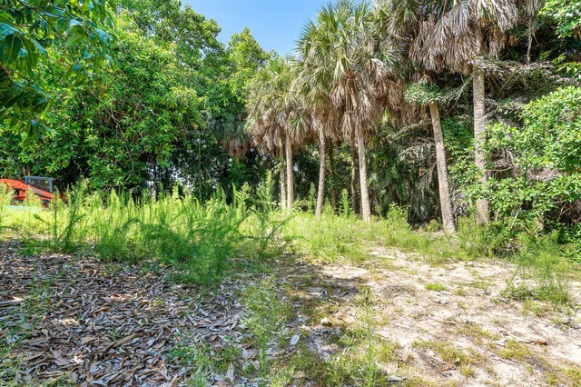 a big yard with lots of green space and plants