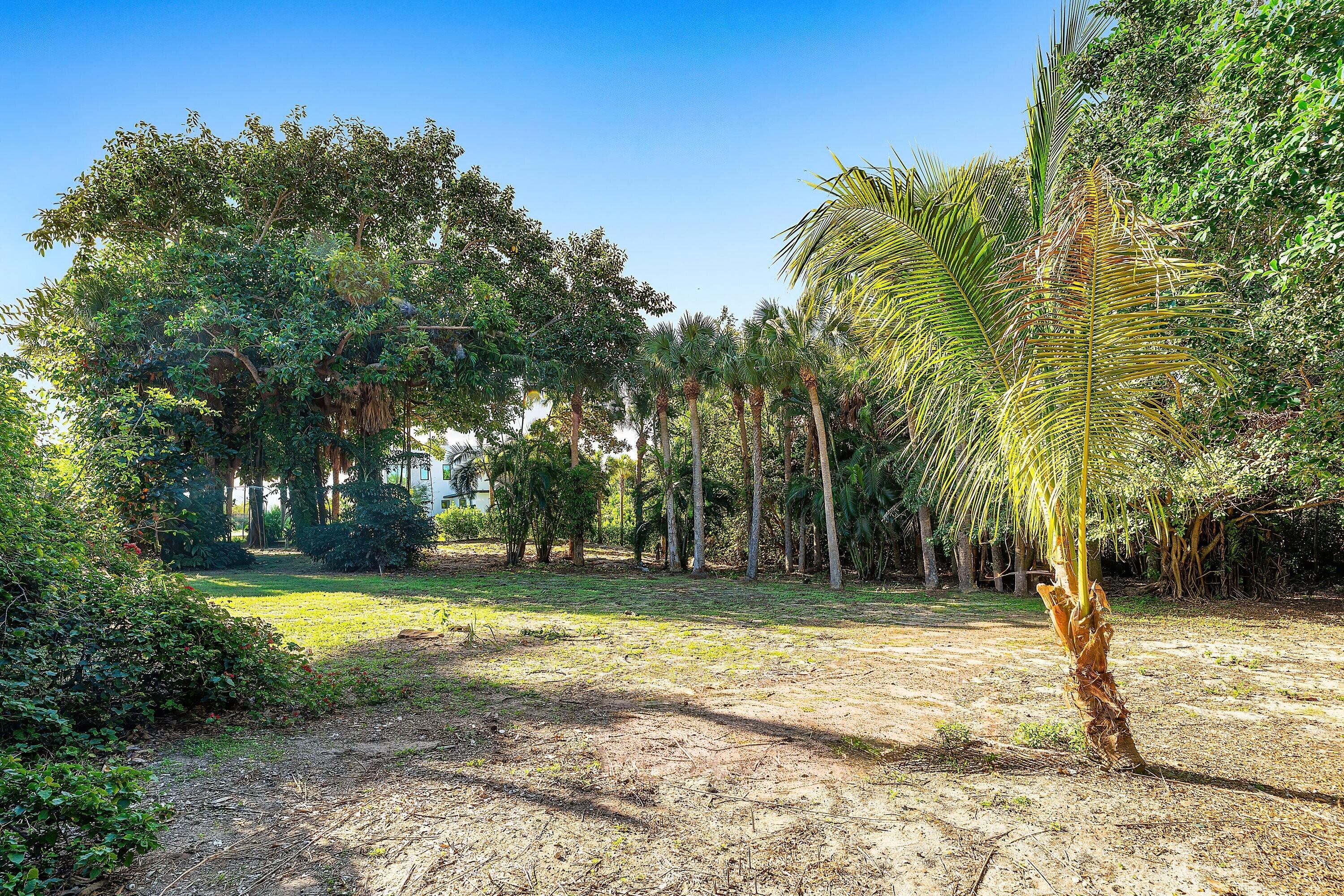 4 Whitney Way Ocean Ridge, FL 33435 - Photo 11 of 12 a view of a trees in a yard