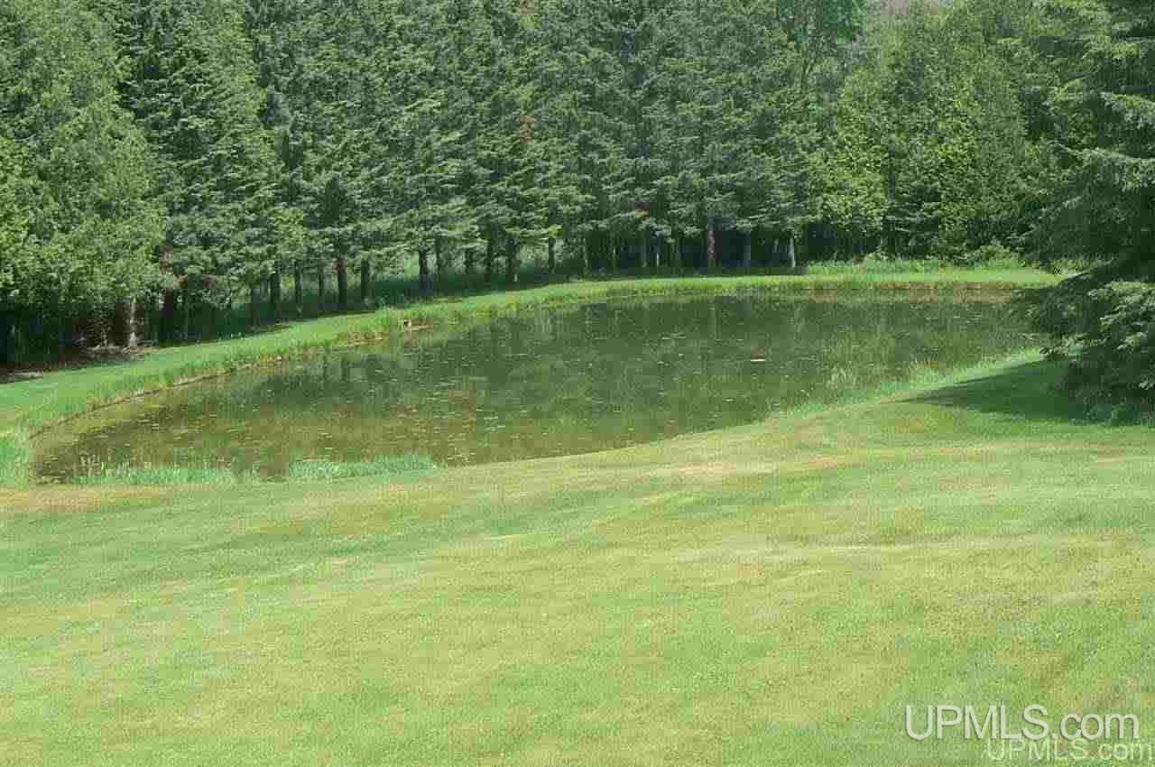 N5572 Hallstrom Road Skandia, MI 49885 - Photo 22 of 30