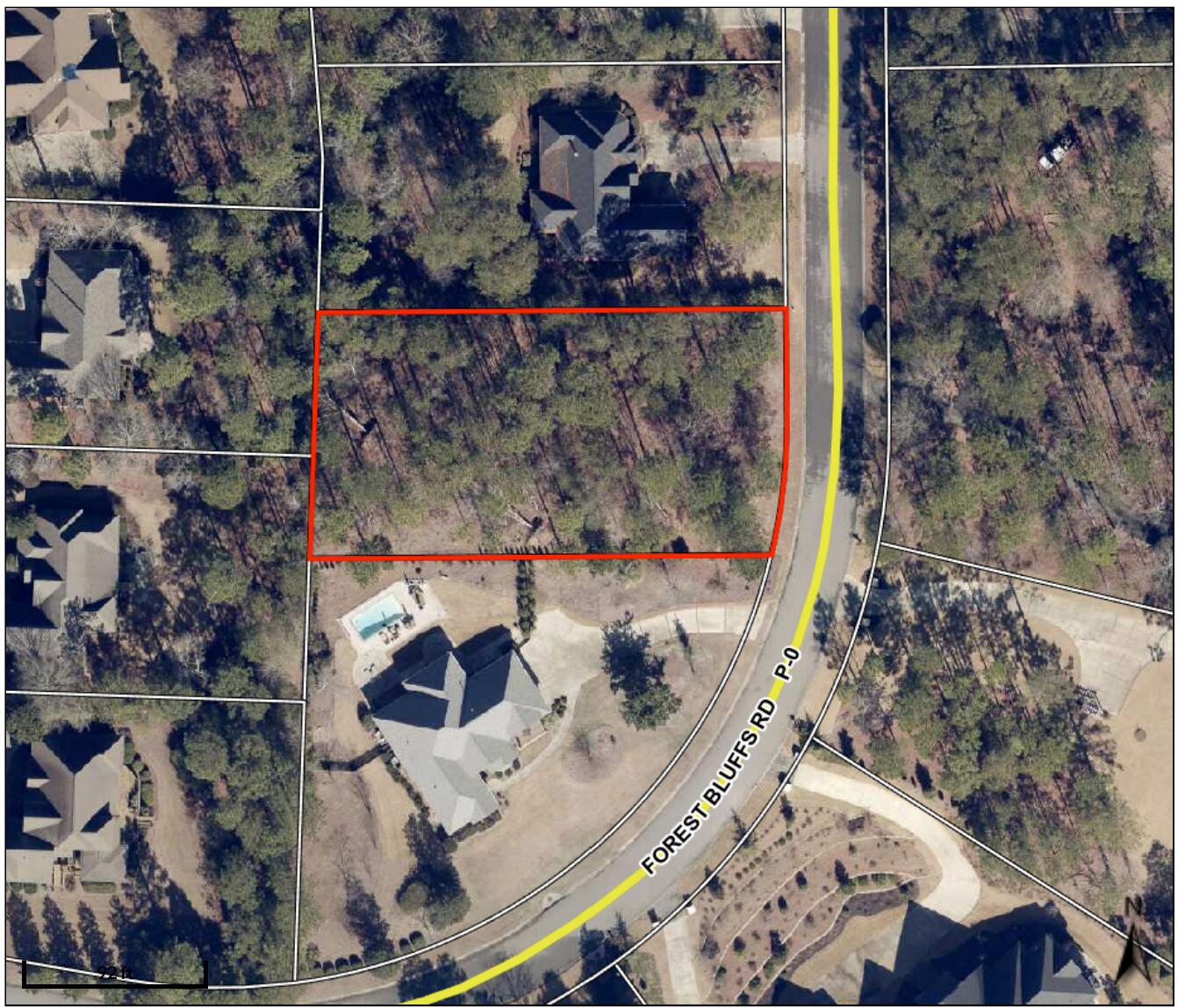 531 Forest Bluffs Road Aiken, SC 29803 - Photo 3 of 17 Gallery Image 3