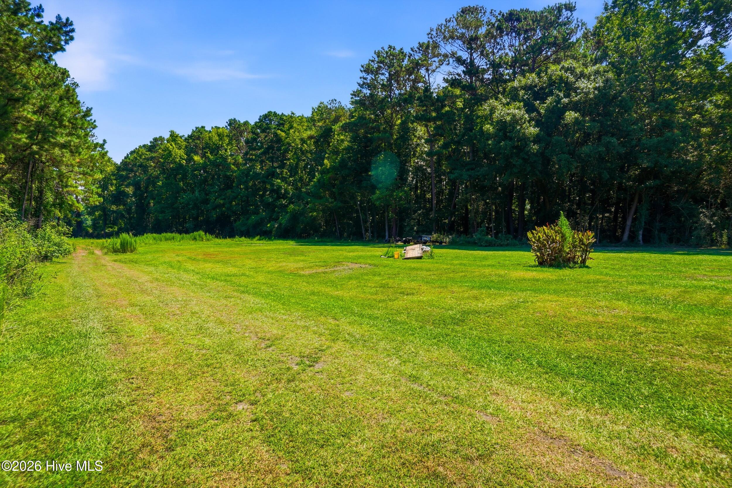 4040 Willard Road Willard, NC 28478 - Photo 46 of 66