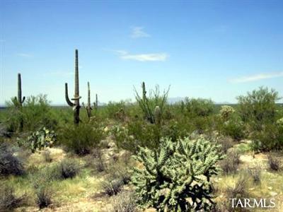 0 East Gasline Road, Unit D2 Marana, AZ 85658 - Photo 1 of 5