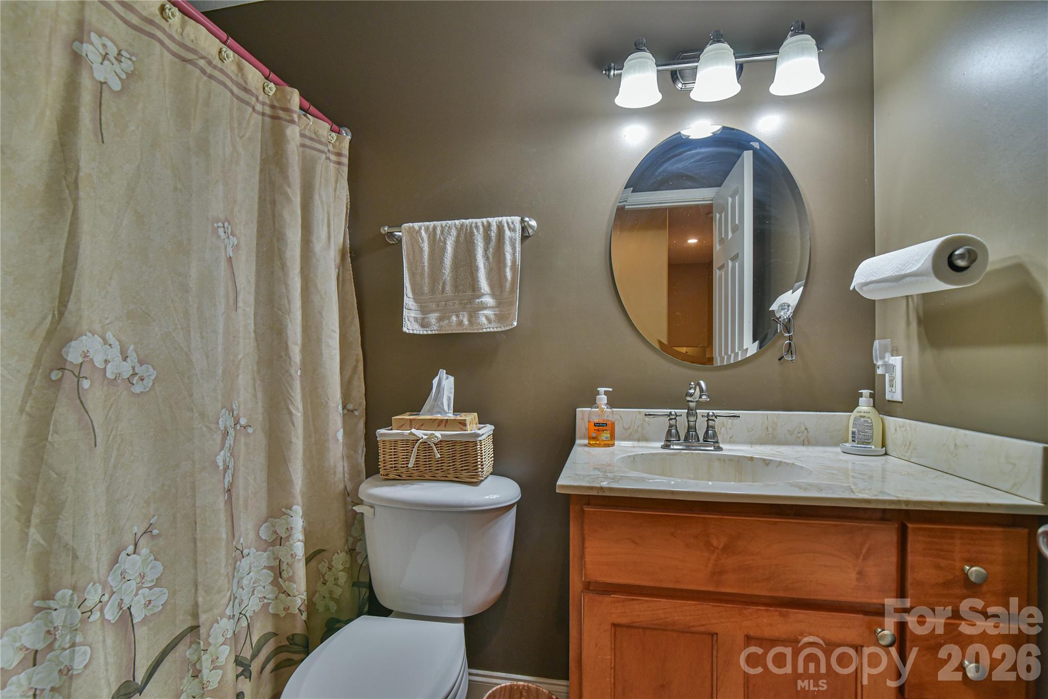 911 Fanning Bridge Road Fletcher, NC 28732 - Photo 15 of 28 a bathroom with a sink and a mirror