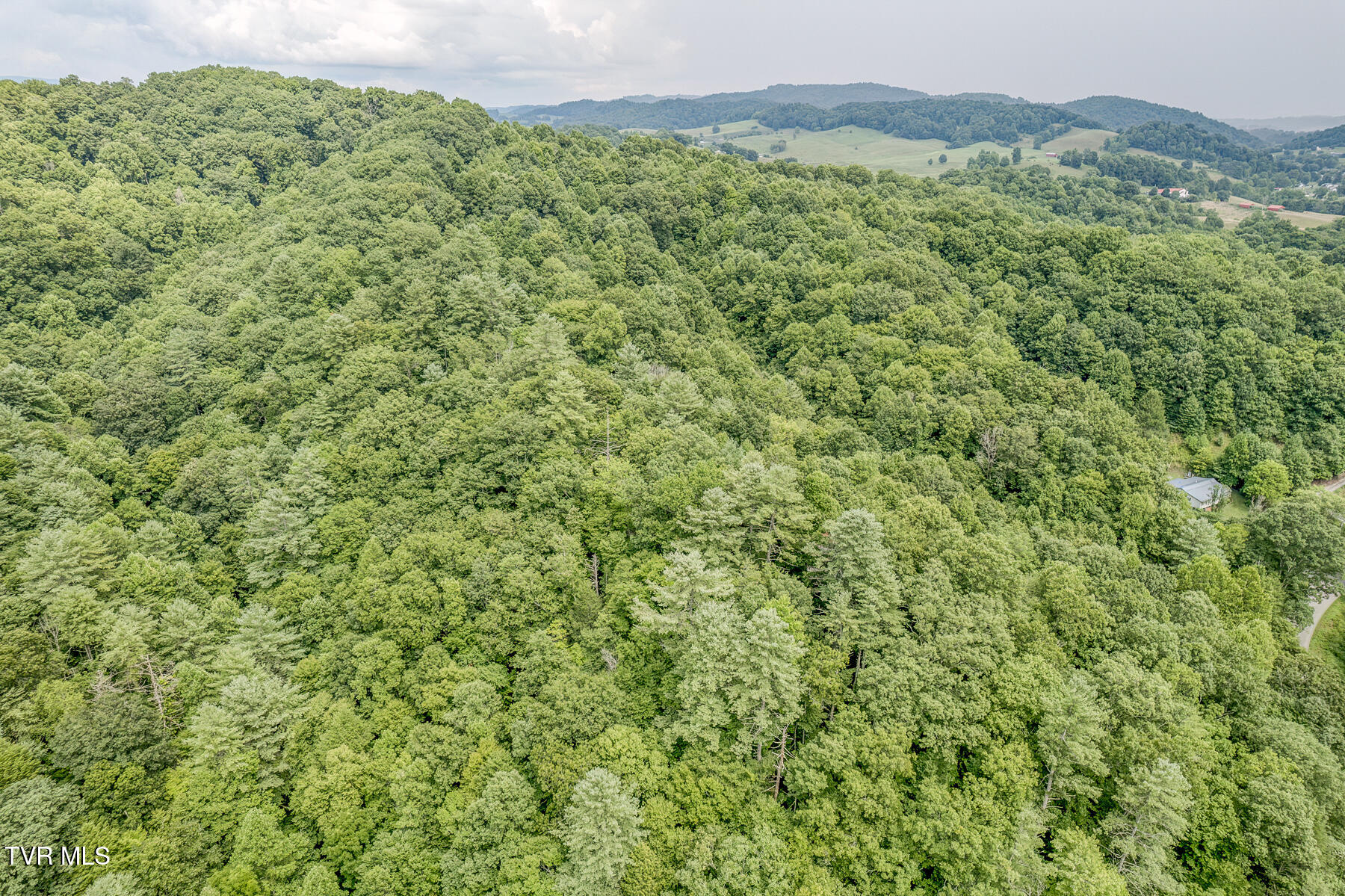 7519 Wolf Run Road Bristol, VA 24202 - Photo 9 of 49 7519 Wolf Run Rd-9