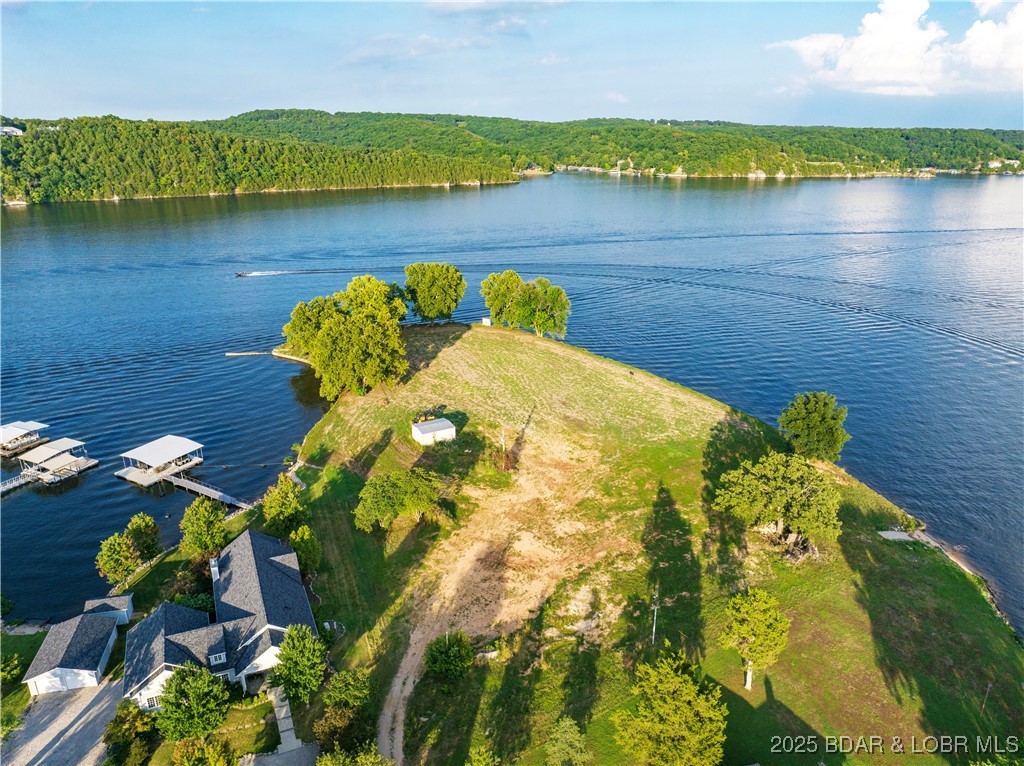 Lot 5 Bollinger Creek Road Climax Springs, MO 65324 - Photo 8 of 21