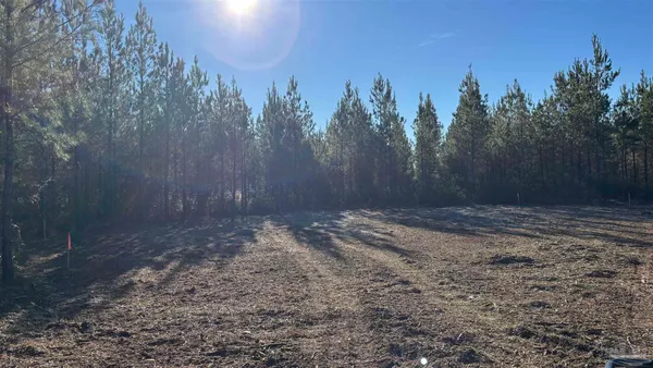 $99,900 | Lot 60 Straw Bridge Road, Jay, FL 32565