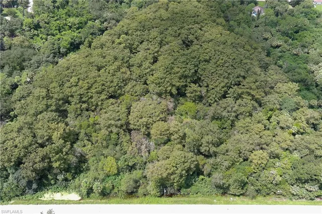 a view of a lake with a yard