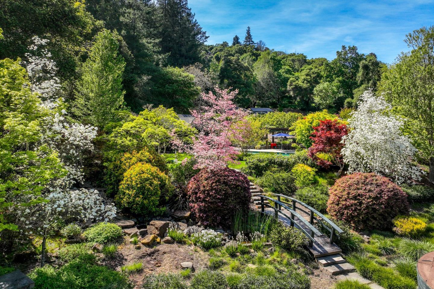160 Phillip Road Woodside, CA 94062 - Photo 36 of 51 a view of a garden with plants and flowers