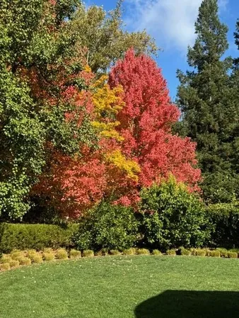 $11,988,000 | 160 Phillip Road, Woodside, CA 94062