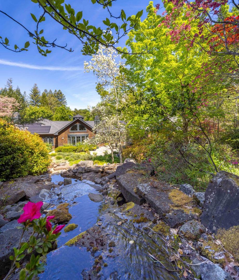 160 Phillip Road Woodside, CA 94062 - Photo 49 of 51 a view of a yard with plants and large trees