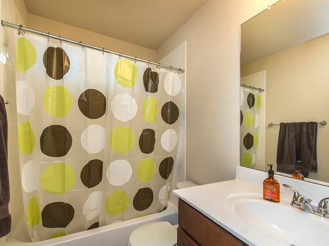 $1,995 | 1553 Twin Cove, Kyle, TX 78640