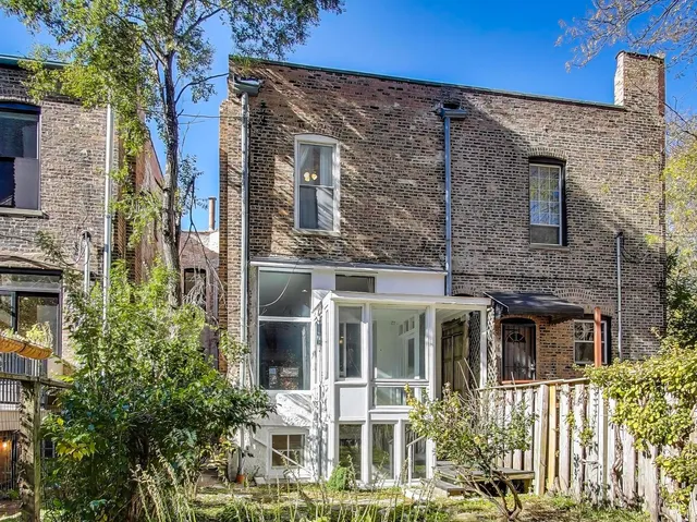 a view of a yard with plants and large trees