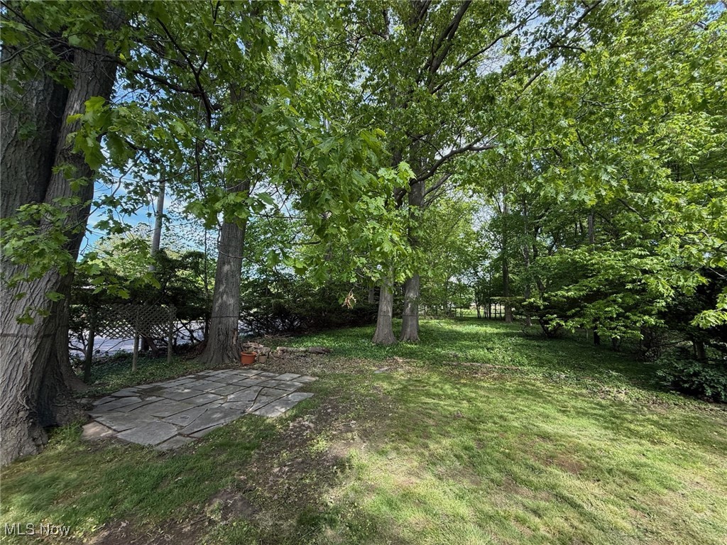 1089 Homestead Road Cleveland, OH 44121 - Photo 19 of 20