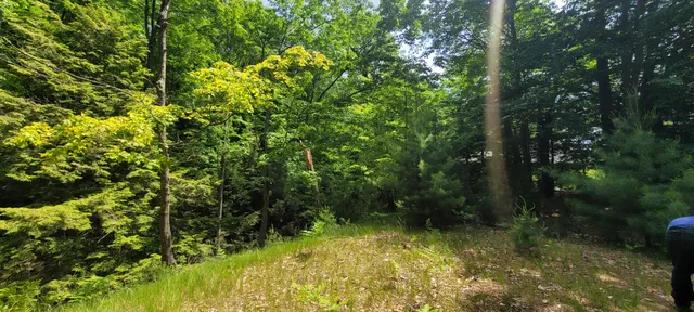 $1,200,000 | 0 Montgomery, Pentwater, MI 49449