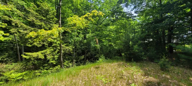 $1,200,000 | 0 Montgomery, Pentwater, MI 49449