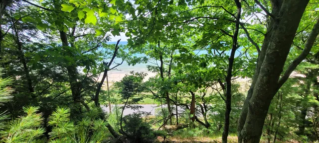 $1,200,000 | 0 Montgomery, Pentwater, MI 49449