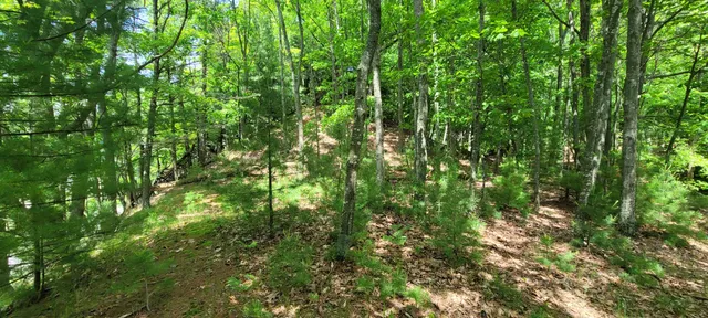 $1,200,000 | 0 Montgomery, Pentwater, MI 49449