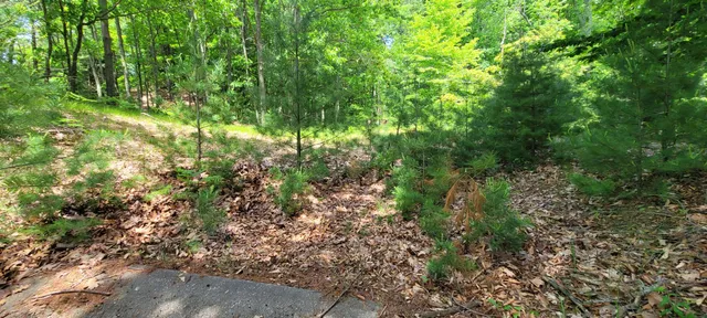 $1,200,000 | 0 Montgomery, Pentwater, MI 49449