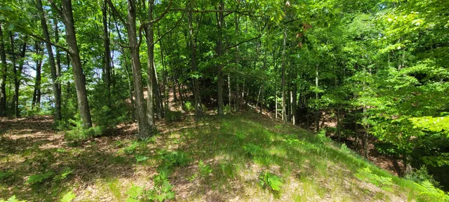 $1,200,000 | 0 Montgomery, Pentwater, MI 49449