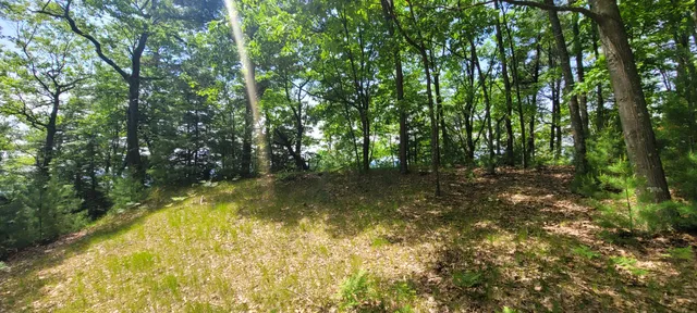 $1,200,000 | 0 Montgomery, Pentwater, MI 49449