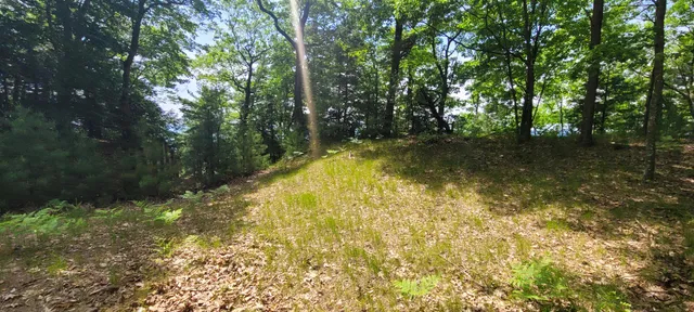 $1,200,000 | 0 Montgomery, Pentwater, MI 49449