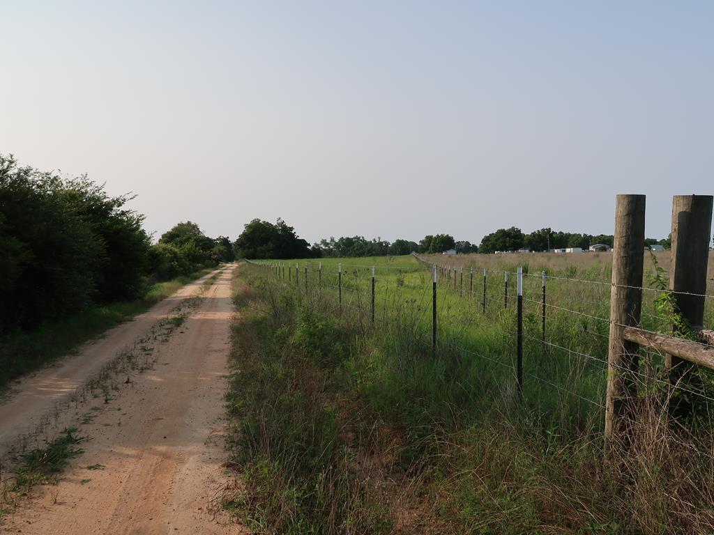 0 East Columbia Road Newville, AL 36353 - Photo 14 of 15