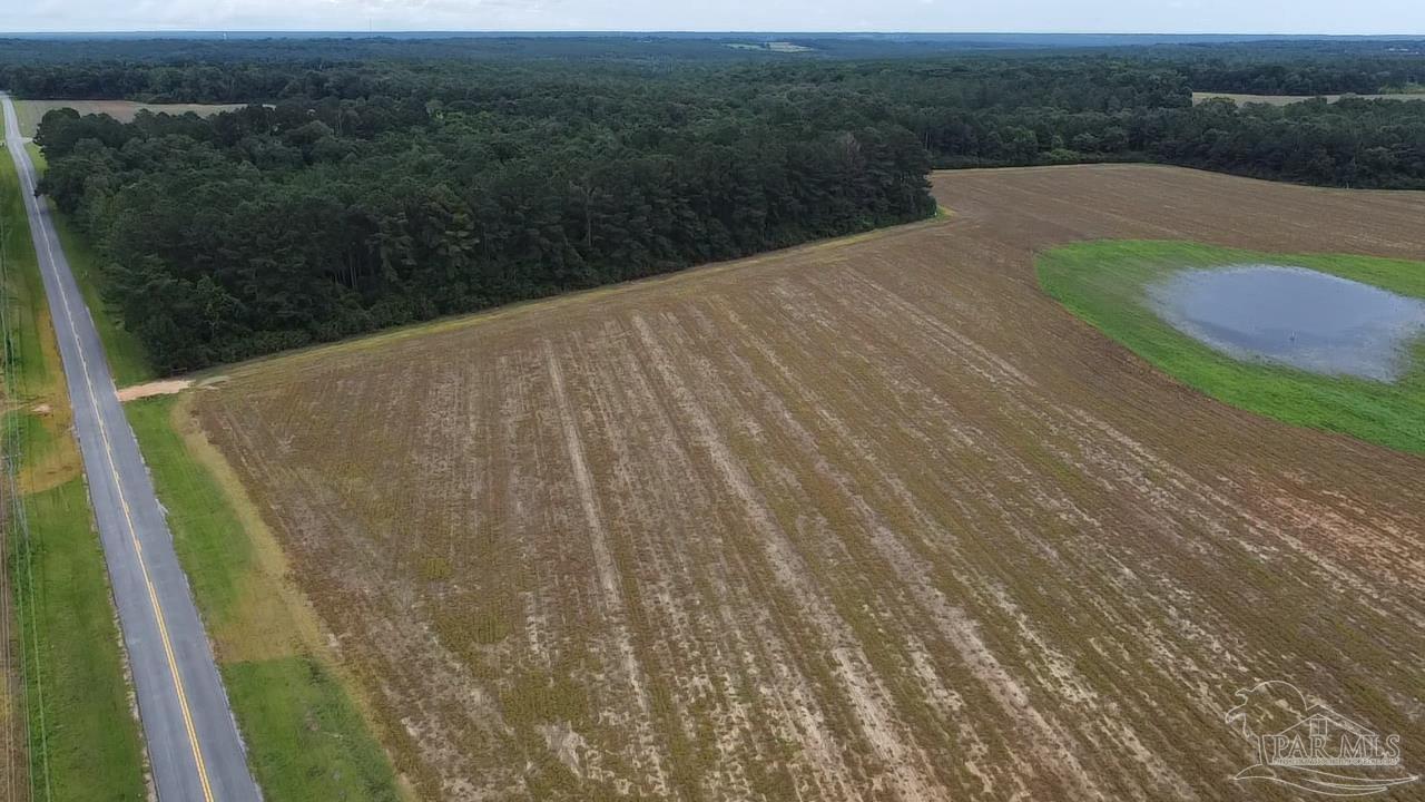 7600 Bratt Road Century, FL 32535 - Photo 7 of 41