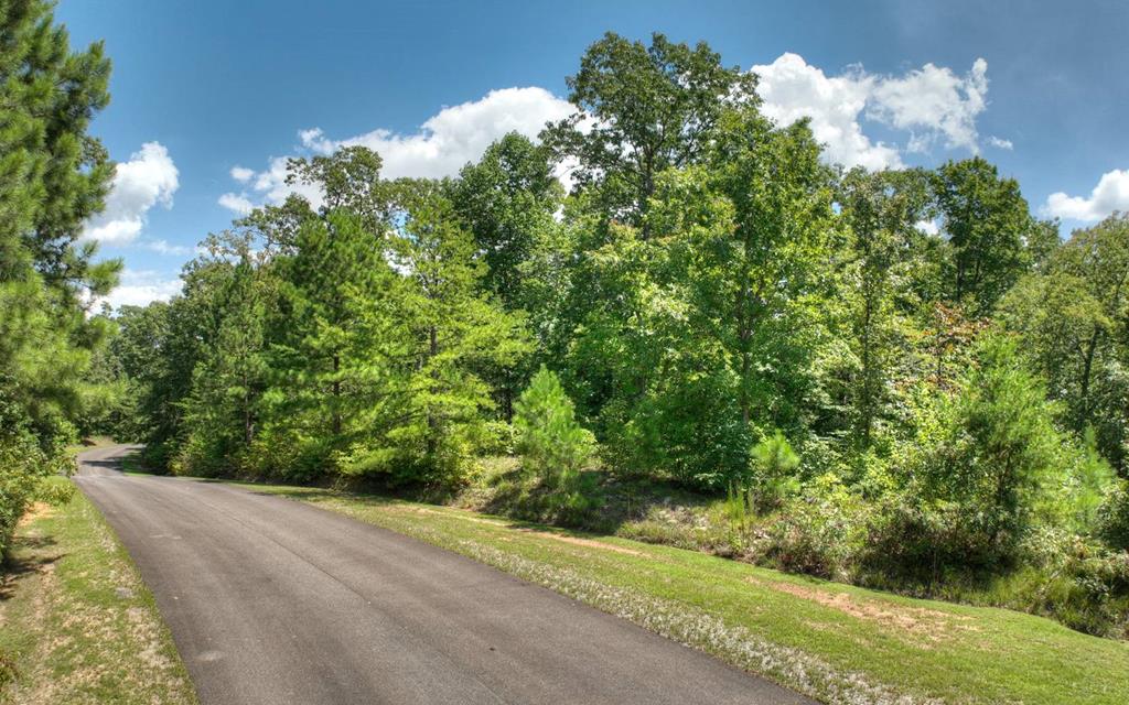 137 Whispering Ridge Court Ellijay, GA 30540 - Photo 32 of 36 Gallery Image 32