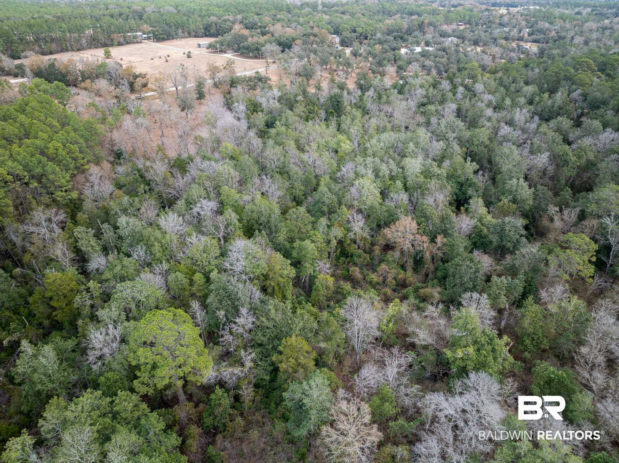 0 Holston Lane South Silverhill, AL 36576 - Photo 9 of 16