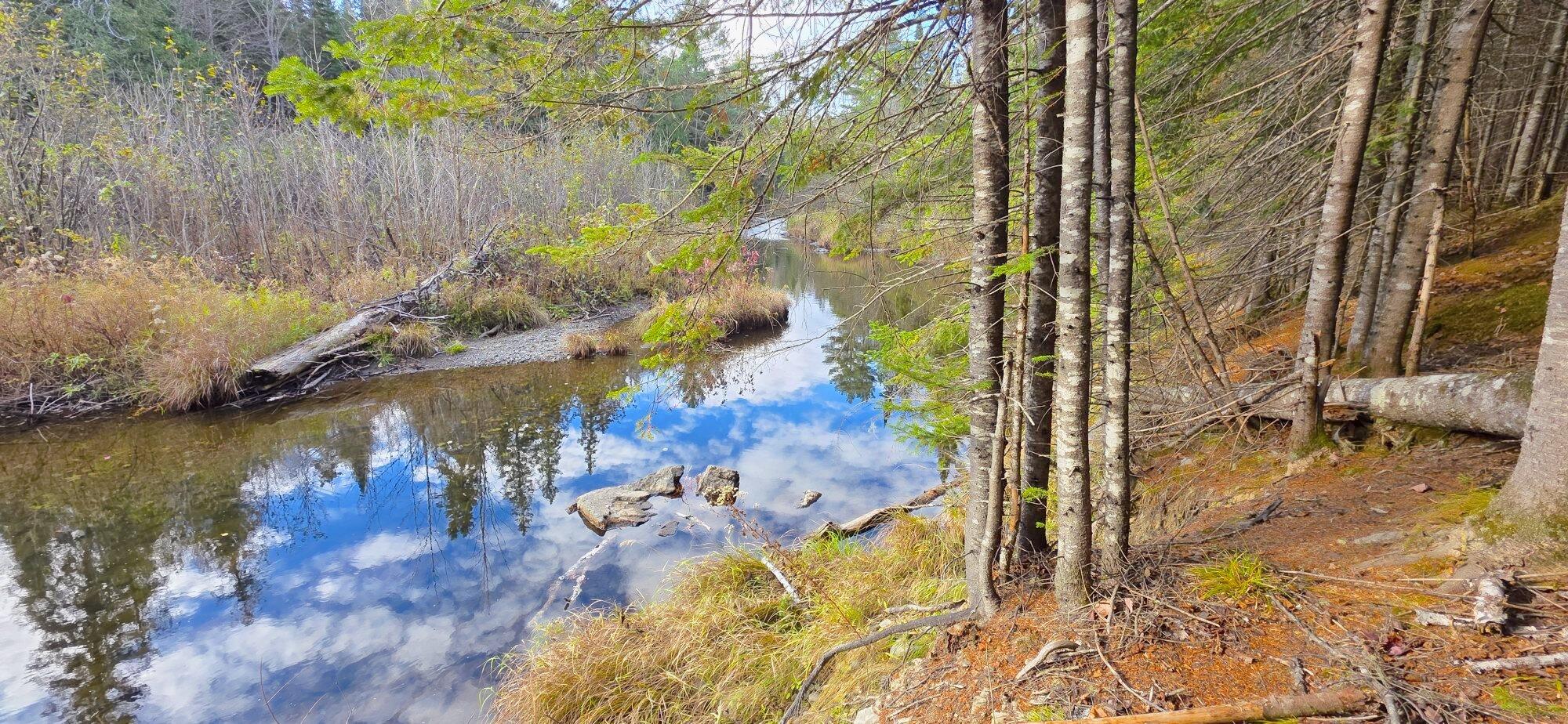 999 Pinkham Road Ashland, ME 04732 - Photo 47 of 60 20251015_092046