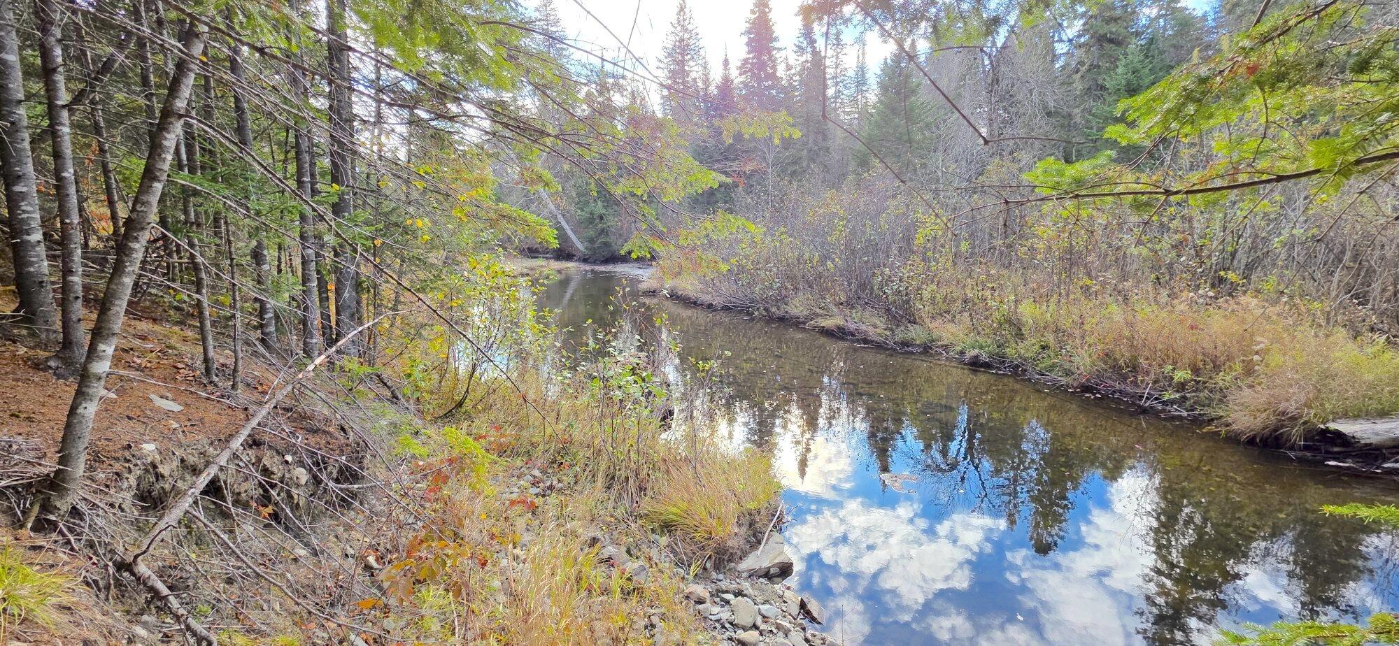 999 Pinkham Road Ashland, ME 04732 - Photo 48 of 60 20251015_092058