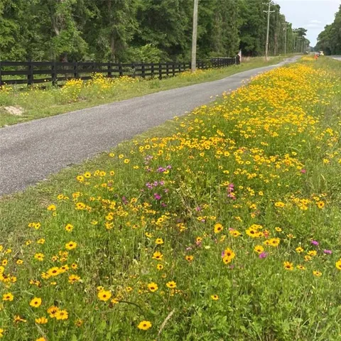 $35,000 | Southwest Jordan Street, Fort White, FL 32038