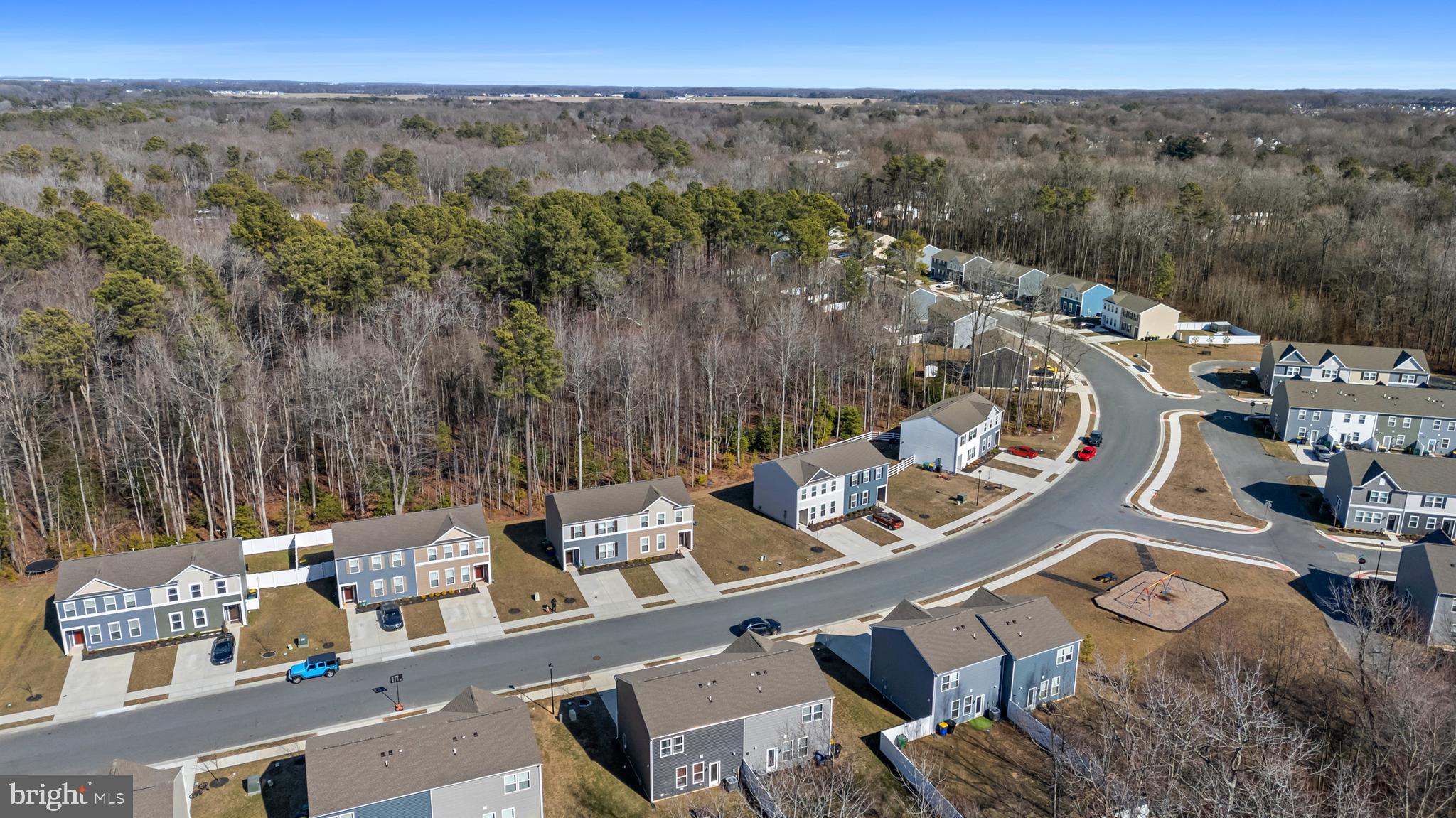 184 Currant Circle Magnolia, DE 19962 - Photo 47 of 52