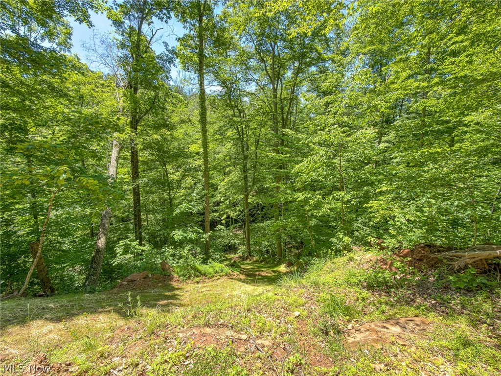 0 Twp Road Marietta, OH 45750 - Photo 14 of 50
