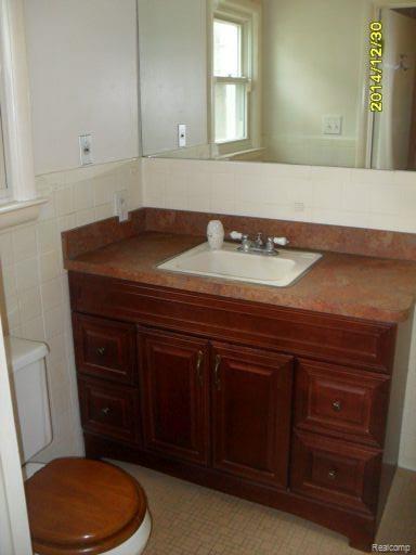 226 Prospect Street Romeo, MI 48065 - Photo 9 of 15 Master Bath.jpg