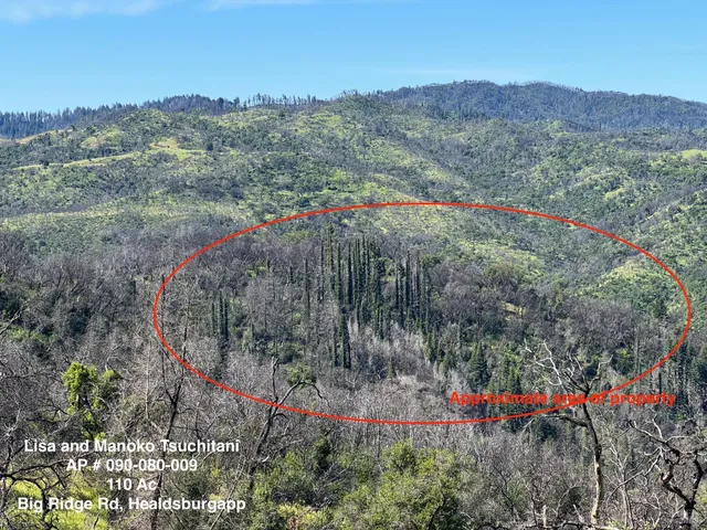 a view of mountains in the middle of a field