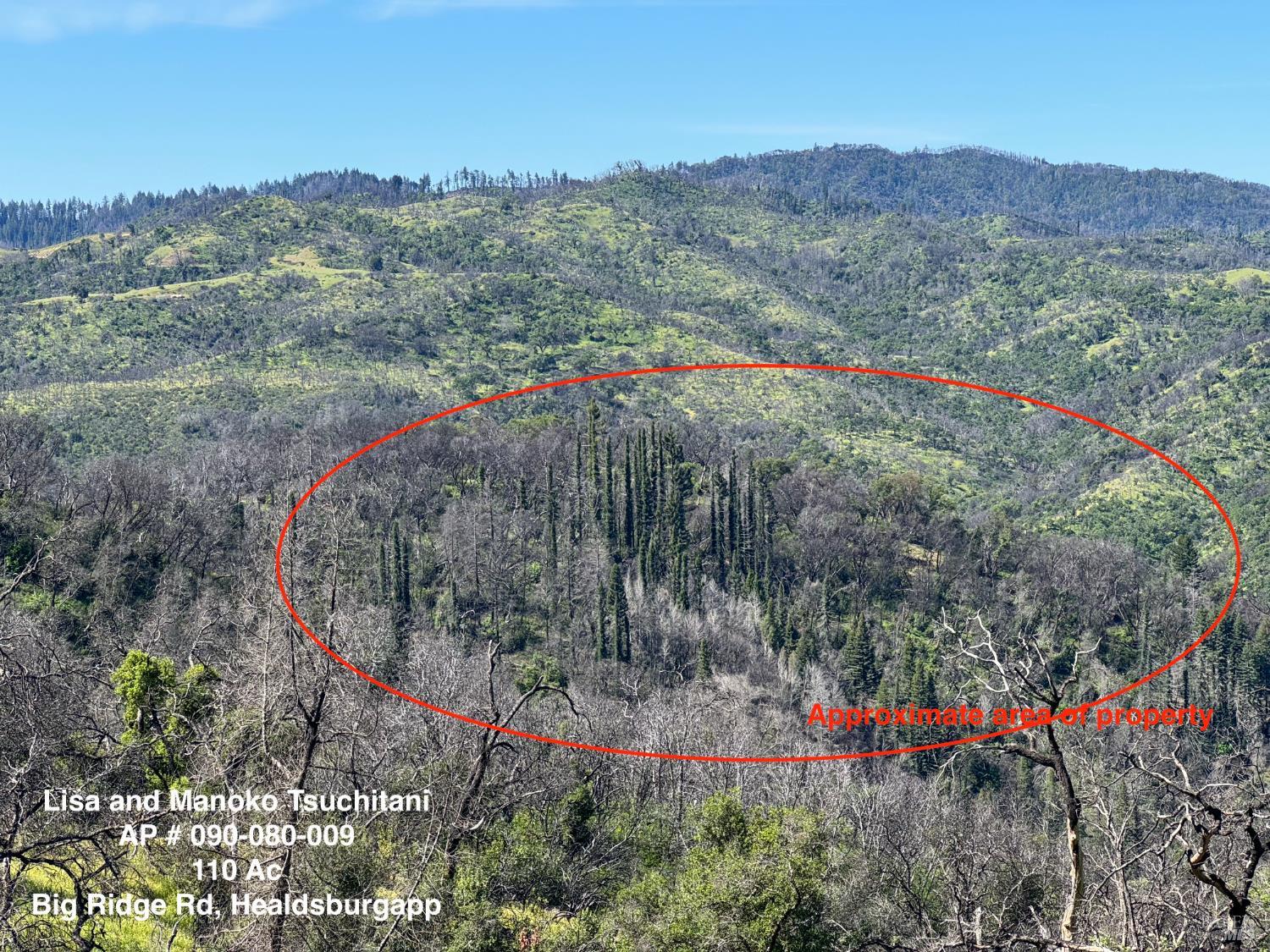 0 Big Ridge Road Healdsburg, CA 95448 - Photo 1 of 2