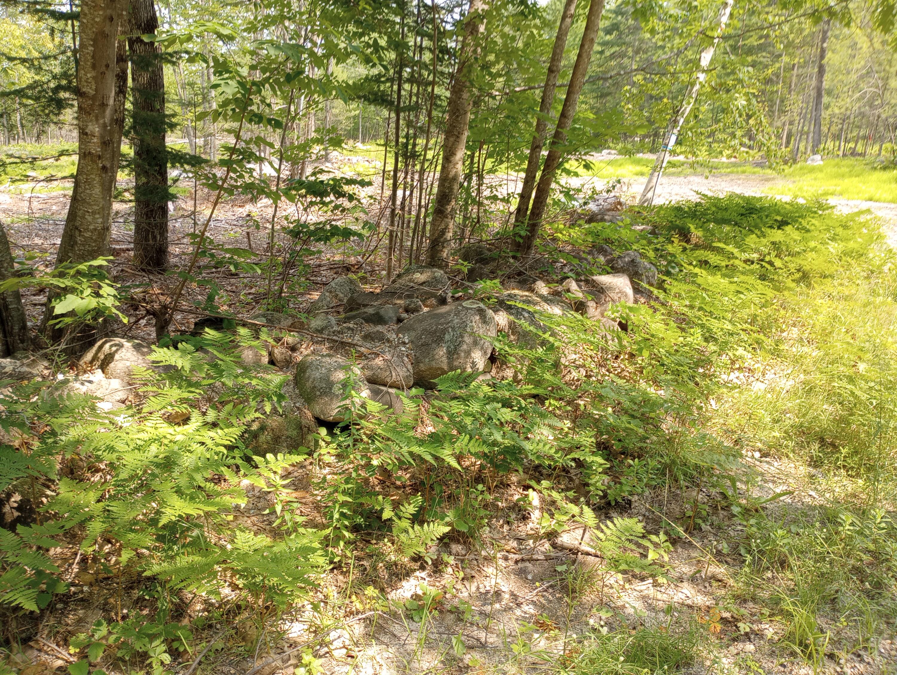 Lot #6 Milbrook Road Bridgton, ME 04009 - Photo 5 of 5 IMG_20230719_141019688