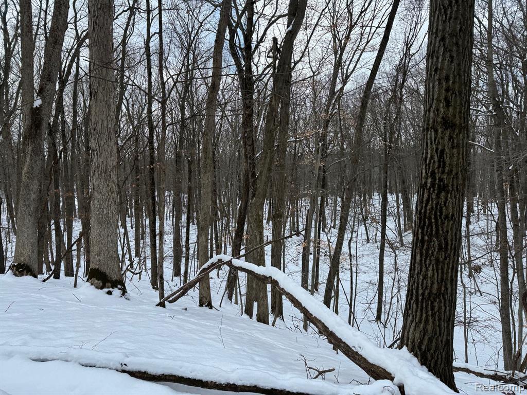 0 Lasher Road Dryden, MI 48428 - Photo 10 of 16