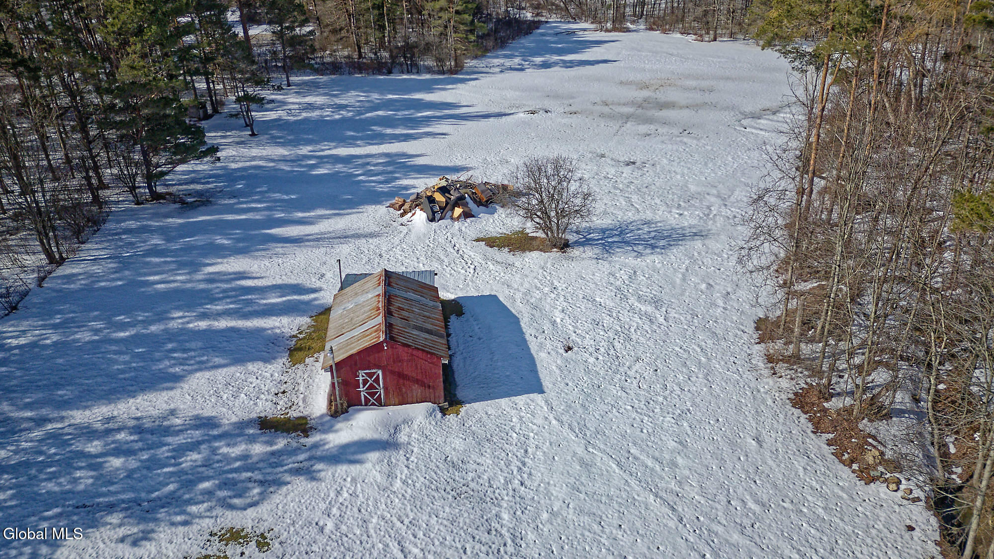 177 Cole Road Duanesburg, NY 12053 - Photo 40 of 72 Air yard 2