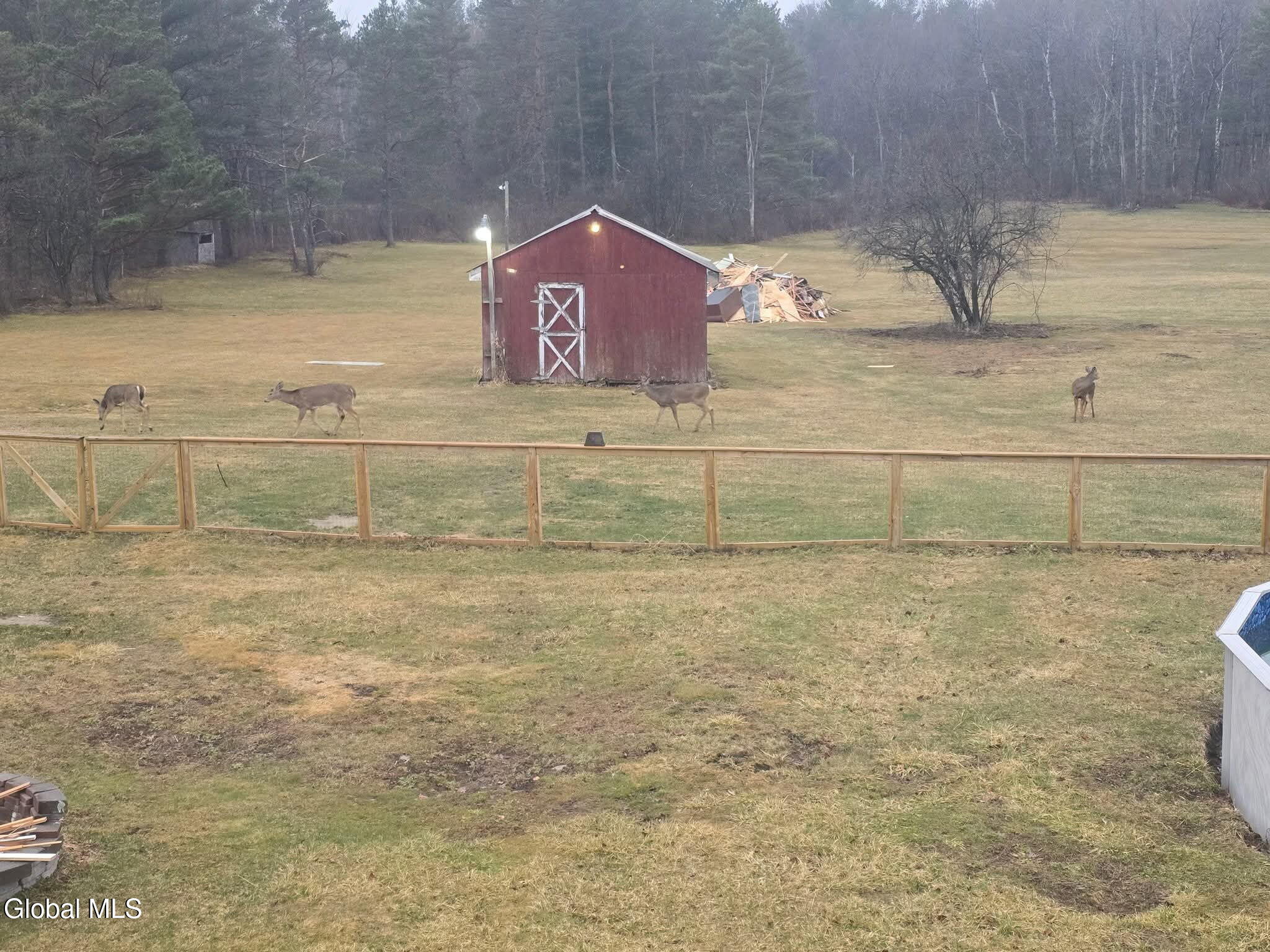177 Cole Road Duanesburg, NY 12053 - Photo 64 of 72 Summer Photo 5