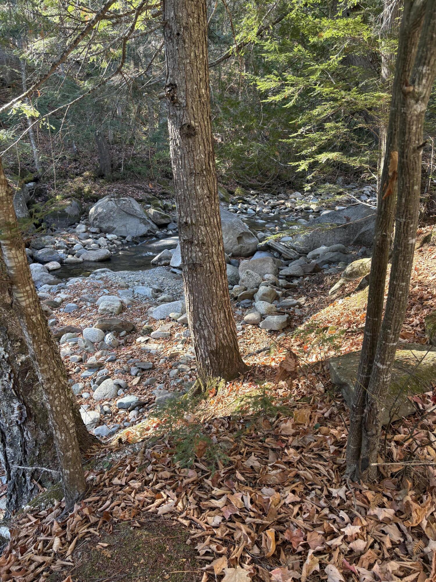 645 Reed's Mill Road Madrid Township, ME 04966 - Photo 12 of 40 IMG_0842