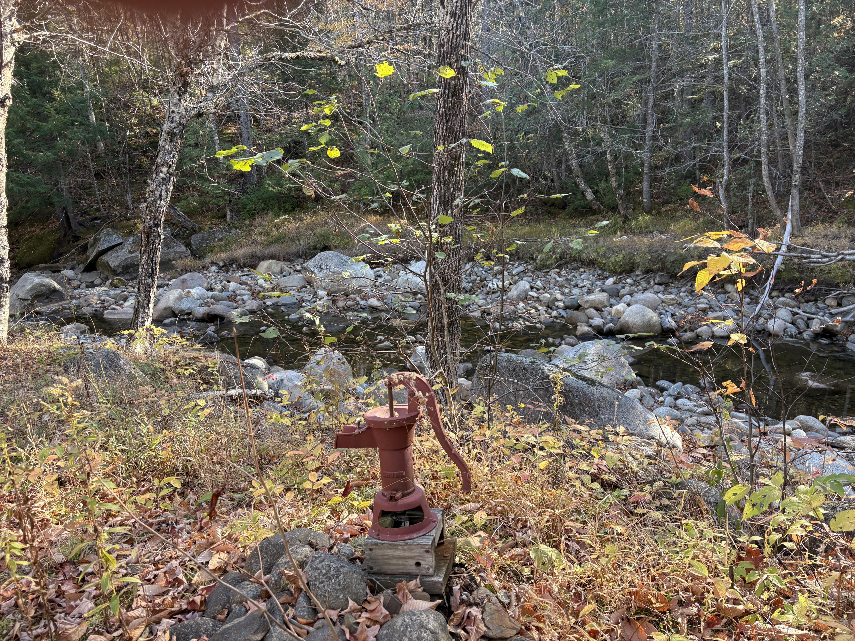 645 Reed's Mill Road Madrid Township, ME 04966 - Photo 15 of 40 IMG_0845