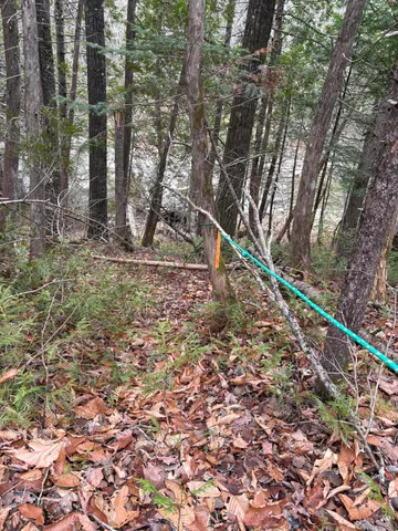 $450,000 | 645 Reed's Mill Road, Madrid Township, ME 04966