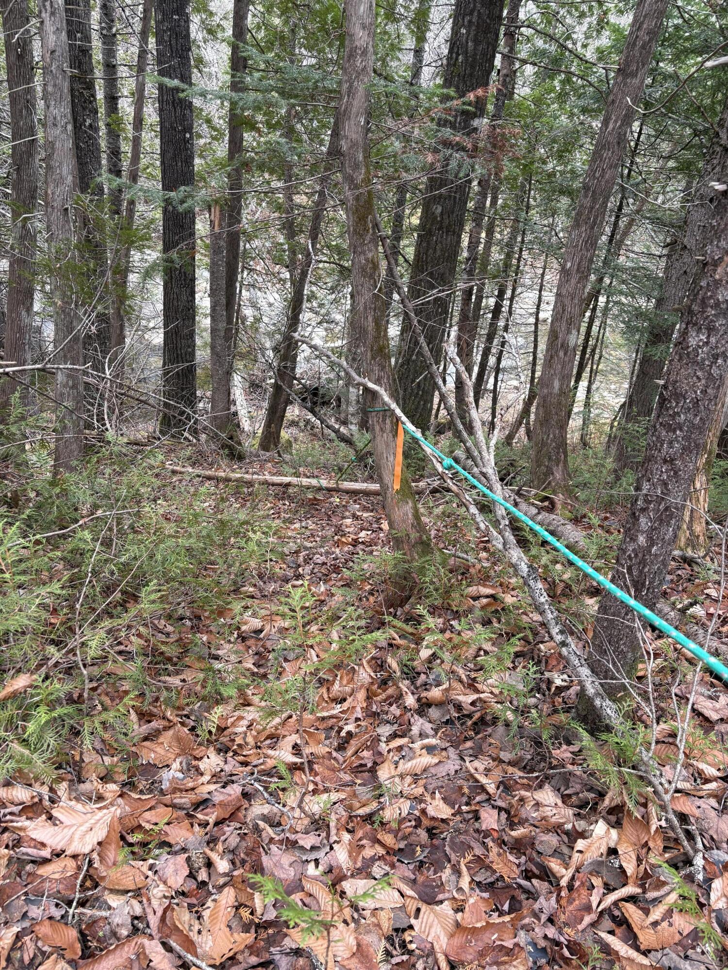 645 Reed's Mill Road Madrid Township, ME 04966 - Photo 39 of 40 IMG_0966