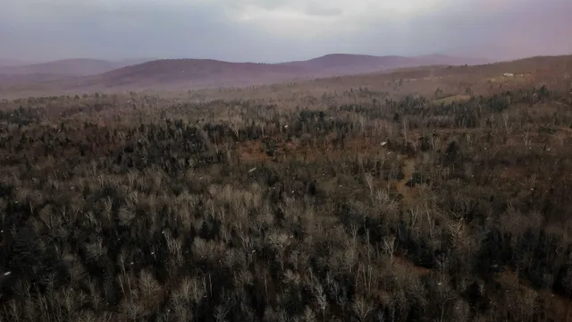 $450,000 | 645 Reed's Mill Road, Madrid Township, ME 04966