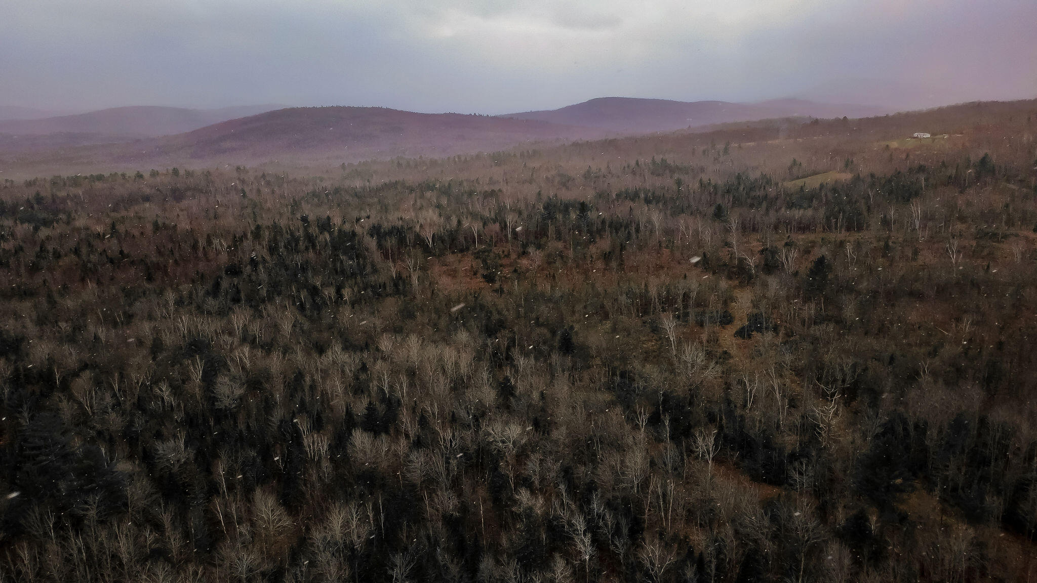 645 Reed's Mill Road Madrid Township, ME 04966 - Photo 40 of 40 DJI_0051