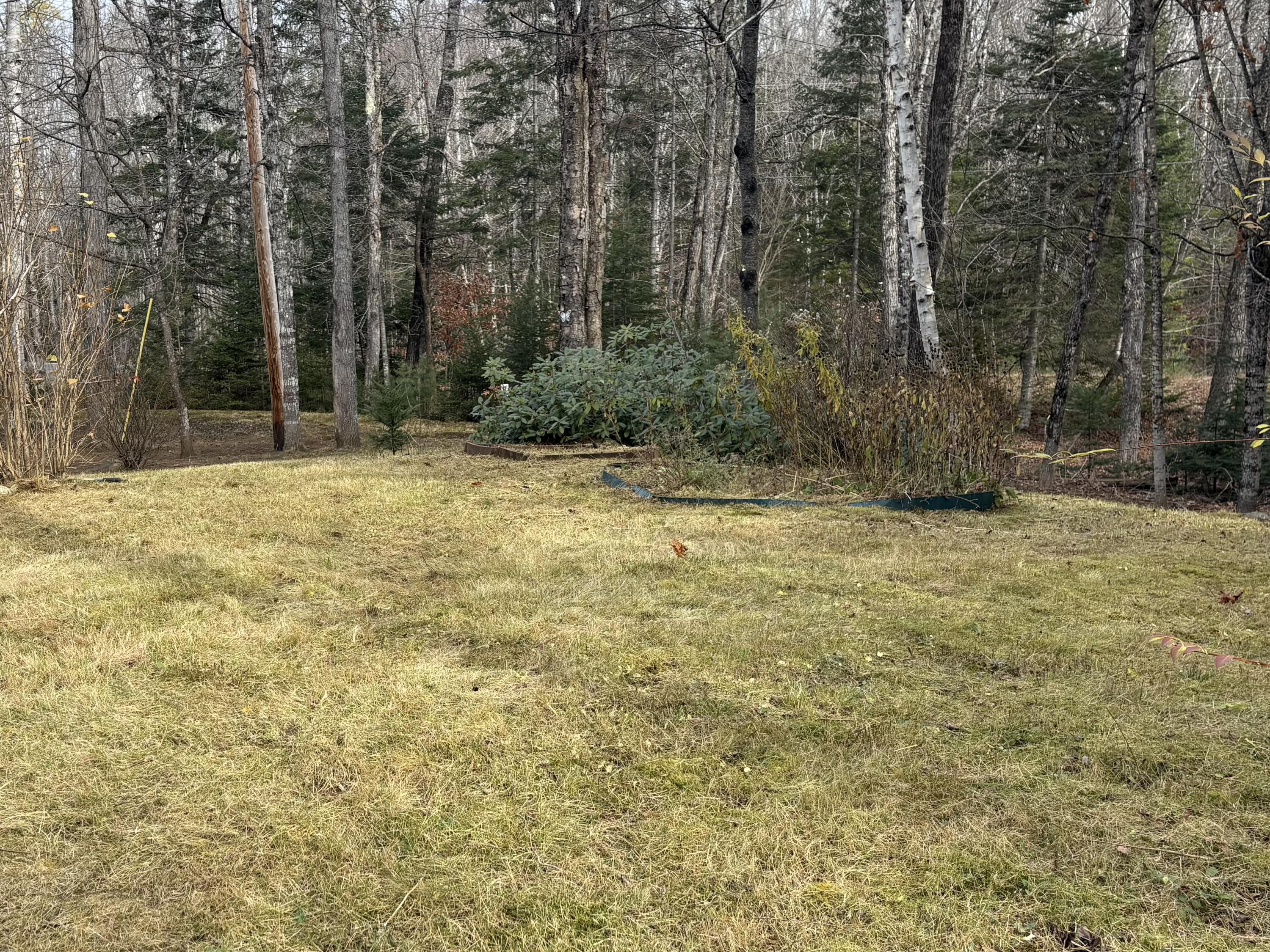 645 Reed's Mill Road Madrid Township, ME 04966 - Photo 10 of 40 IMG_0953