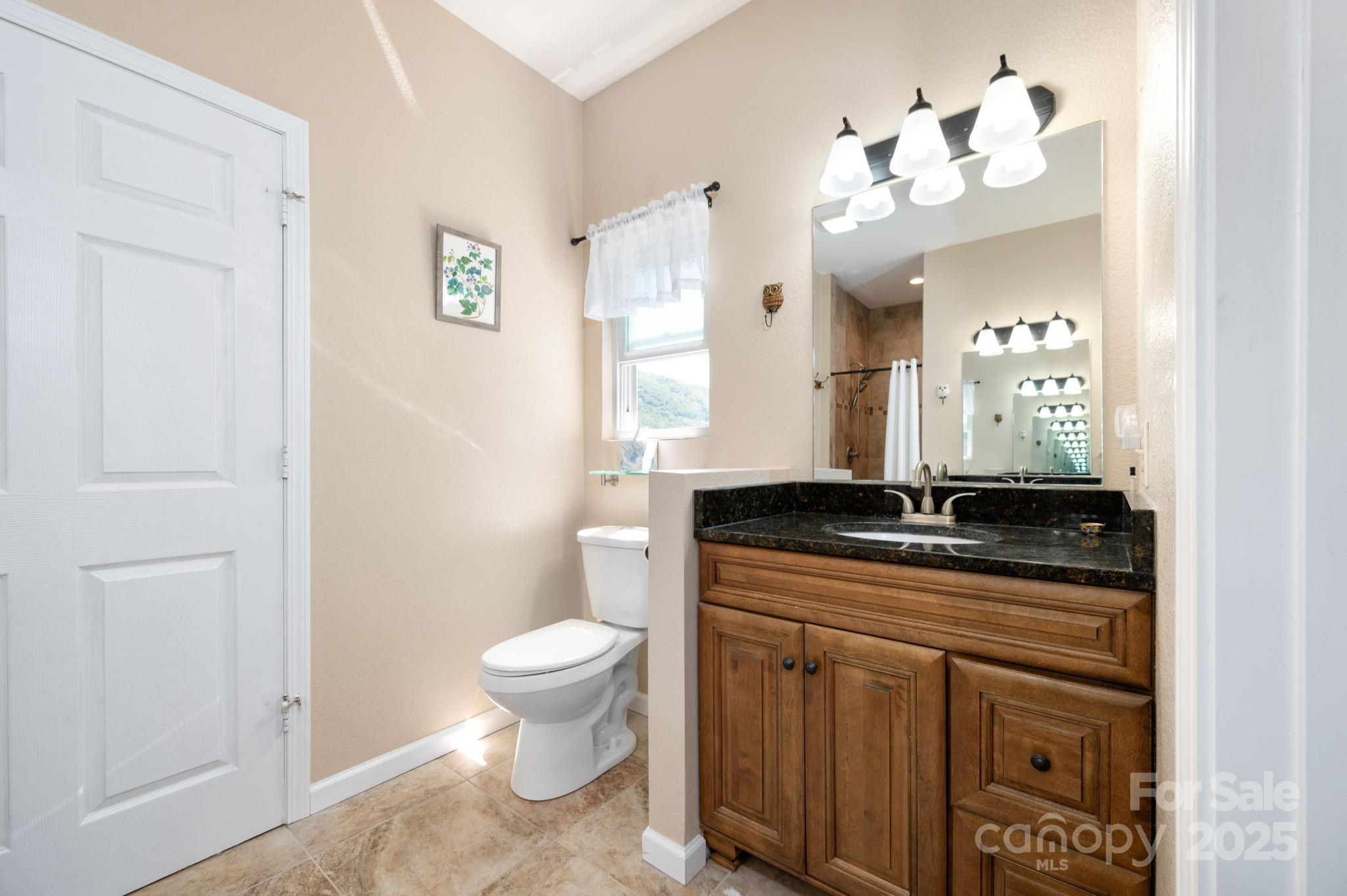 174 Diamond Point Canton, NC 28716 - Photo 21 of 30 a bathroom with a granite countertop sink a toilet and a mirror